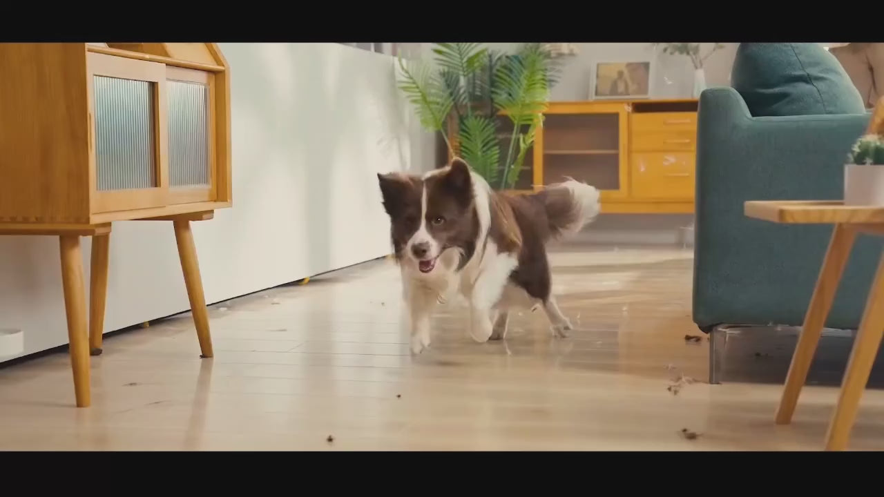 Kinderly™ Groom 7-in-1 Pet Care System